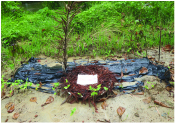 Image of মোহাম্মদ ইসমামুল হক